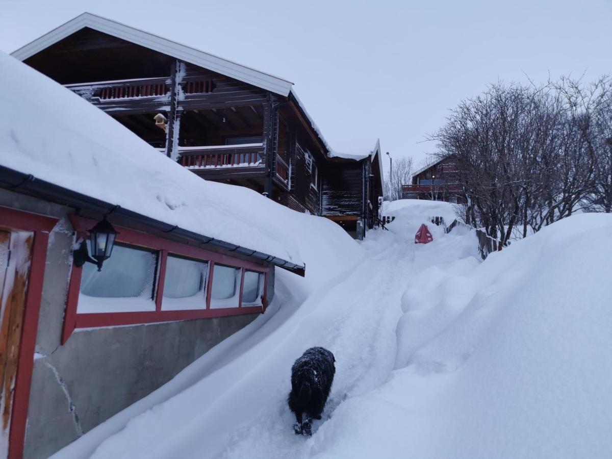 Loghouse Apartment In Arctic Wonderland! Kvaloya Exterior foto